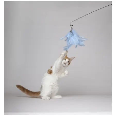 Klicka för större bild