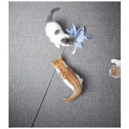 Klicka för större bild