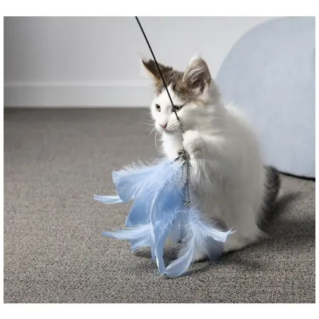 Klicka för större bild