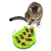 Aktiveringsbräda Buggin' Out