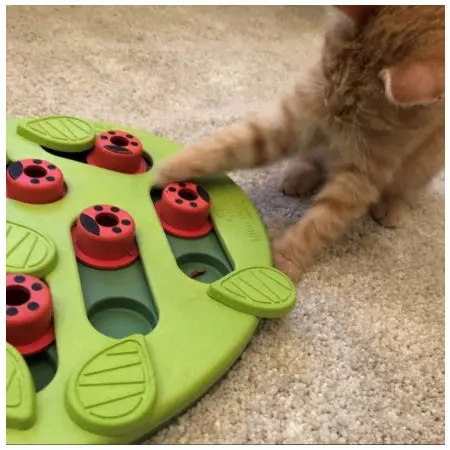 Klicka för större bild