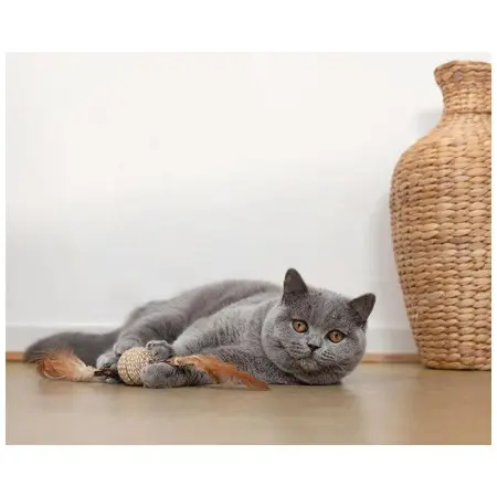 Klicka för större bild