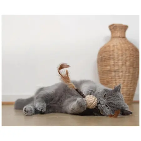 Klicka för större bild