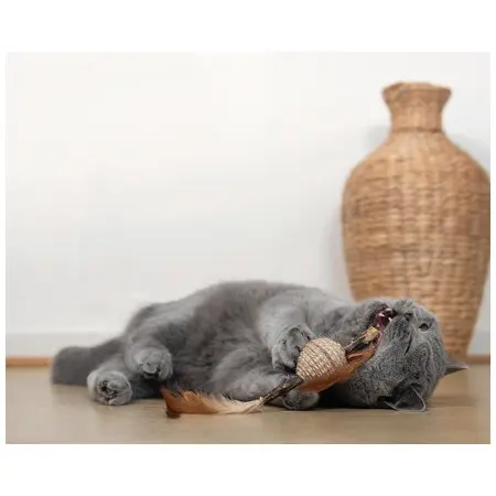 Klicka för större bild