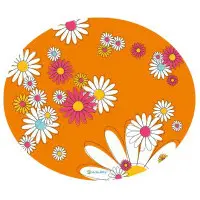 Lucky-Kitty Underlägg Orange