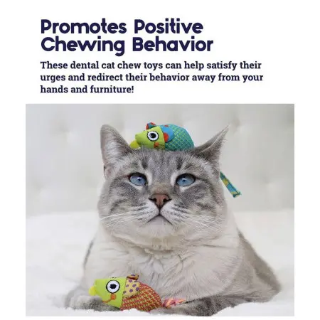 Klicka för större bild