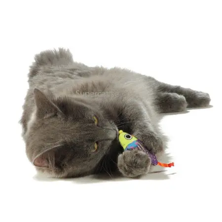 Klicka för större bild