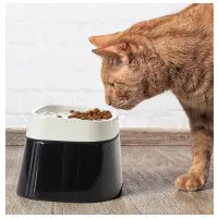 Ergo Cube kattmatskål