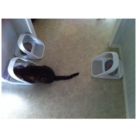 Klicka för större bild