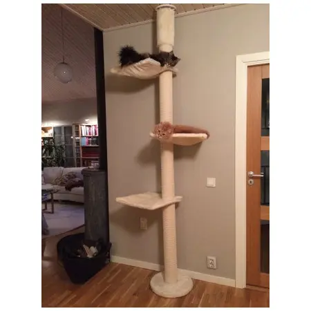 Klicka för större bild