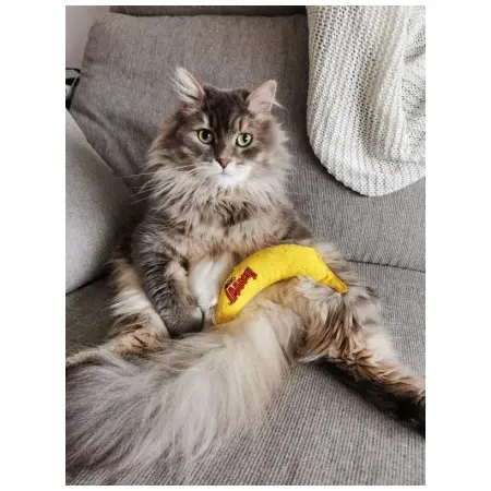 Klicka för större bild