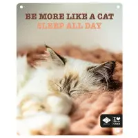 Kattskylt "...sleep all day"