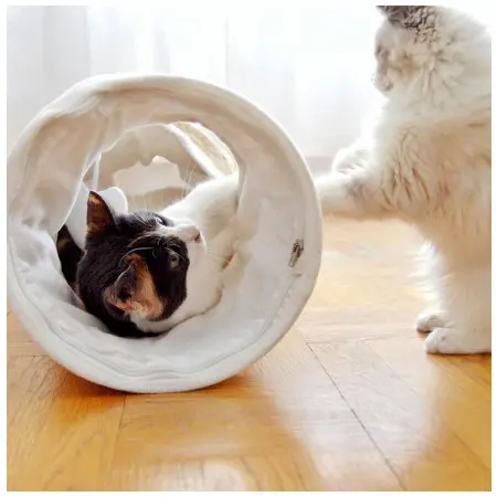 Klicka för större bild