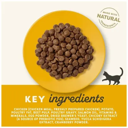 Klicka för större bild