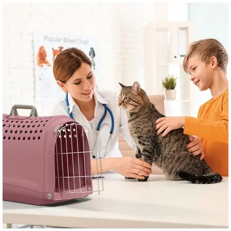 Klicka för större bild