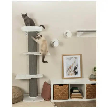 Klicka för större bild