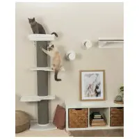 Klättervägg paket Äventyr