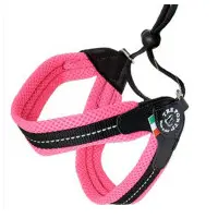 Kattsele Tre Ponti Mesh Rosa Strl 1,5