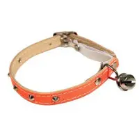 Katthalsband reflex orange med nitar