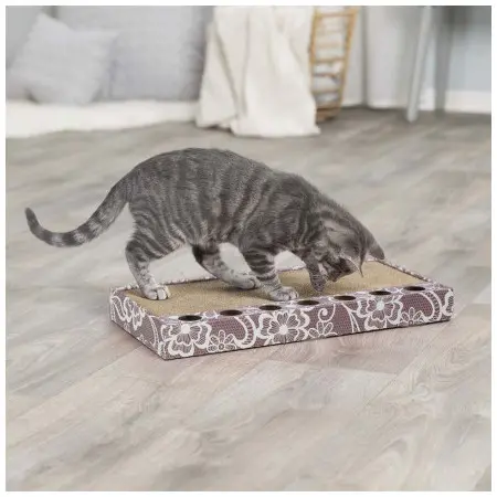 Klicka för större bild