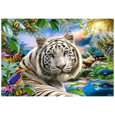 Klicka för större bild