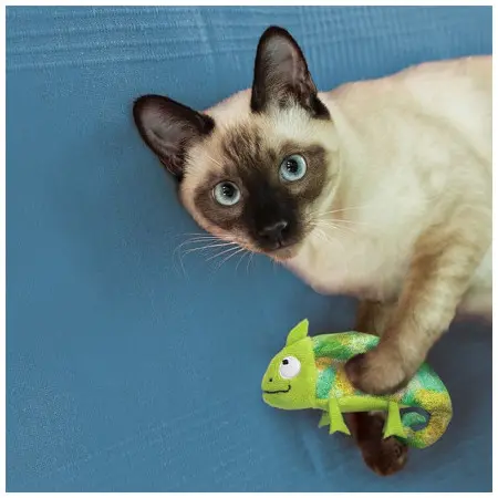 Klicka för större bild