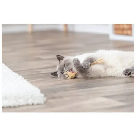 Klicka för större bild