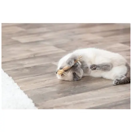 Klicka för större bild