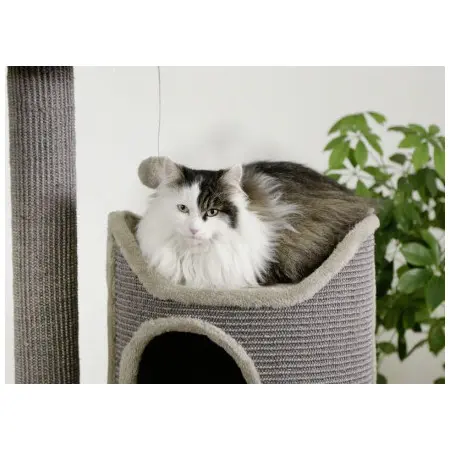 Klicka för större bild