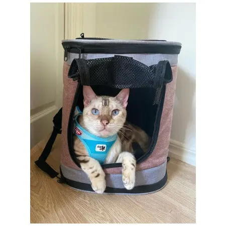 Klicka för större bild