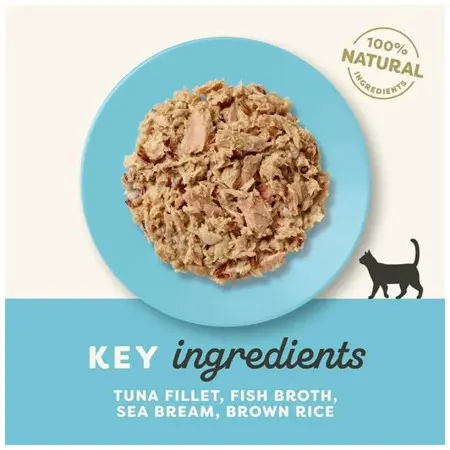 Klicka för större bild