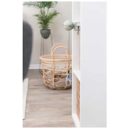 Klicka för större bild