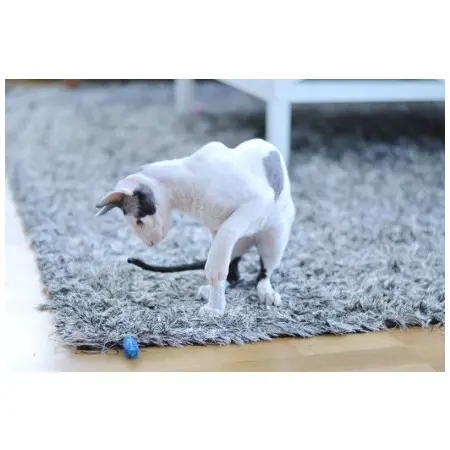 Klicka för större bild