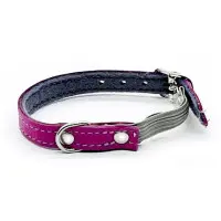 Katthalsband kattunge läder lila