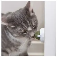 Kattmyntaboll med hållare