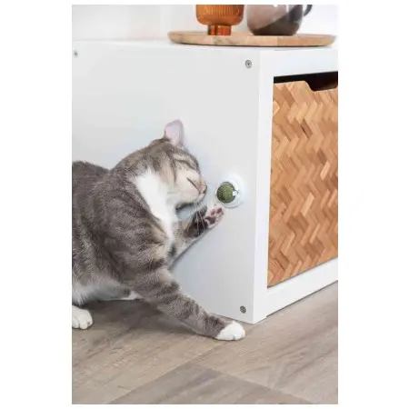 Klicka för större bild