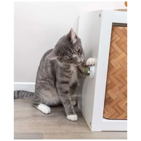 Klicka för större bild