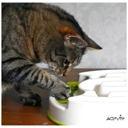 Klicka för större bild