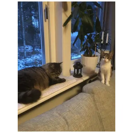 Klicka för större bild