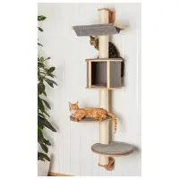 Dolomit grå vägghängt klösträd