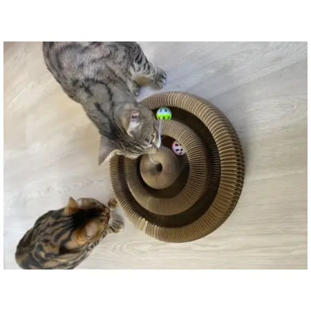 Klicka för större bild