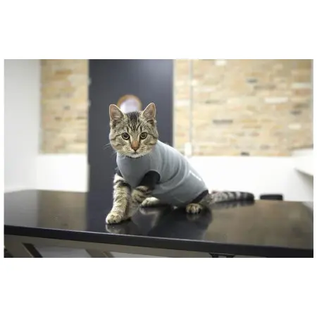 Klicka för större bild