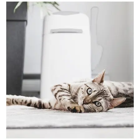 Klicka för större bild