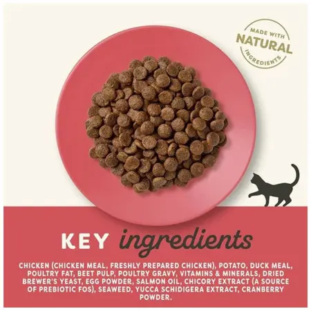 Klicka för större bild