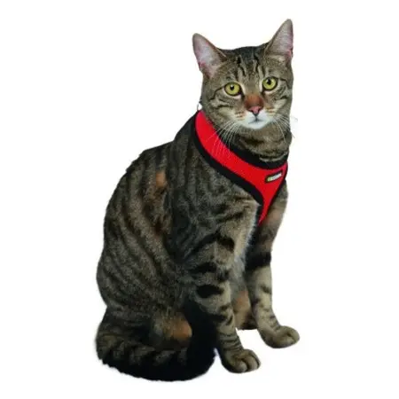 Klicka för större bild