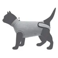 Body till katt, skyddande Large