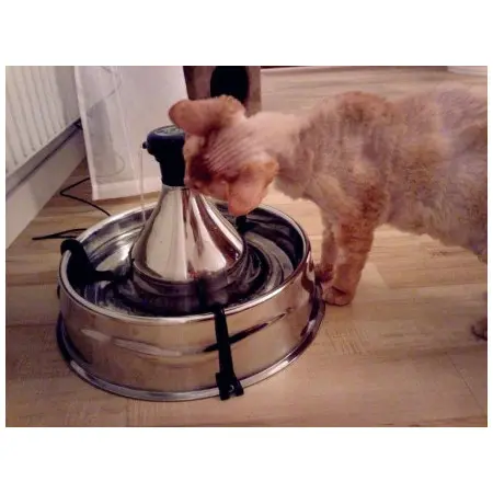 Klicka för större bild