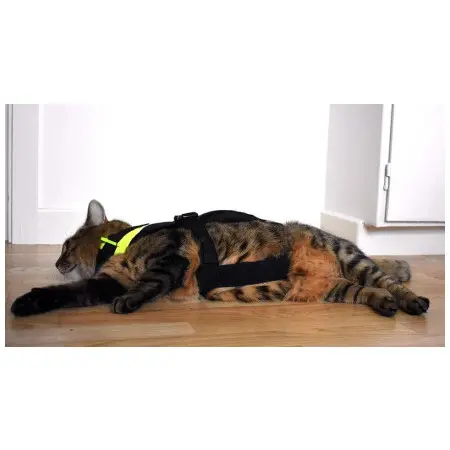 Klicka för större bild