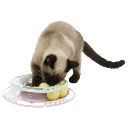 Klicka för större bild