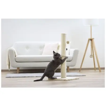 Klicka för större bild